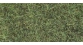 noch 07122 Feuillage d'herbes sauvages, vert clair